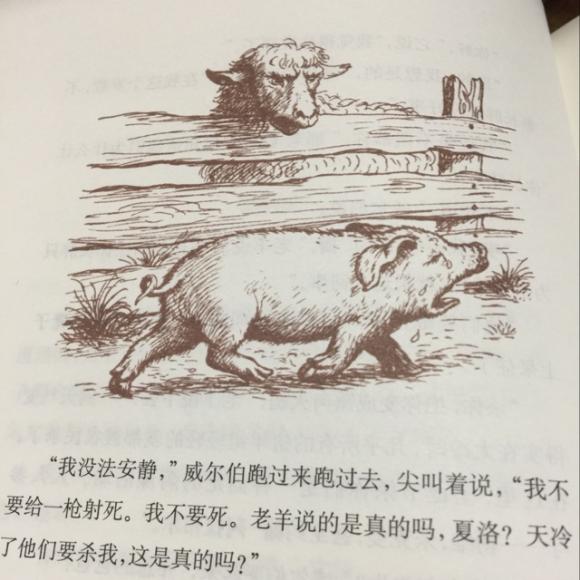 夏洛的网-7坏消息