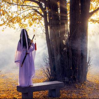 重温最美古诗词(于丹)[千古文人侠客梦]