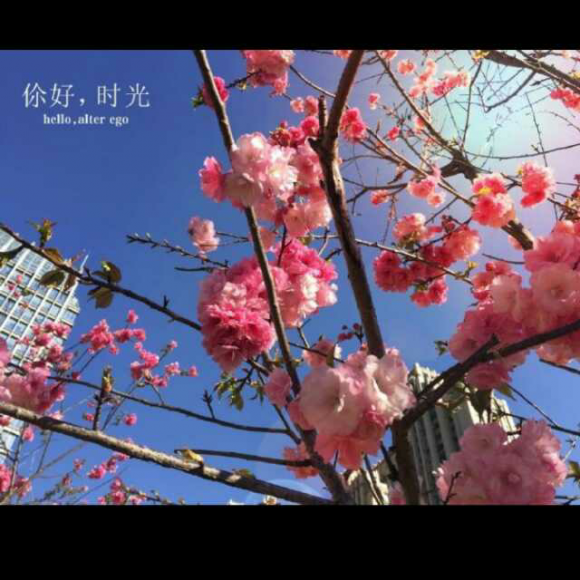我的未来式