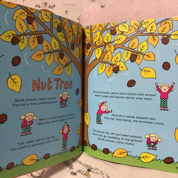 nut tree