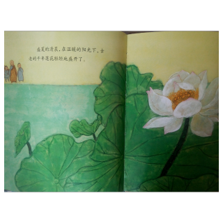 【安的种子】在线收听_玉儿姐姐_荔枝FM
