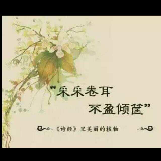 【诗经-卷耳-筱娴】在线收听_爱悦读_荔枝FM