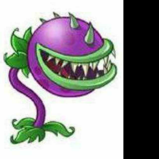 【植物二十大嘴花】在线收听_植物大战僵尸2开始讲_荔枝FM