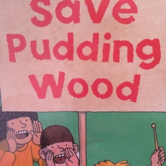 save pudding wood