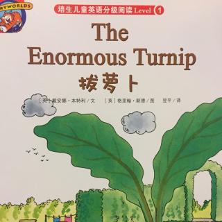 培生儿童英语level 1 the enormous turnip