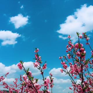 【婚姻不是搭伙过日子】在线收听_秋丽_荔枝