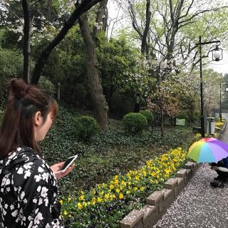 【清明时节雨纷纷 路上行人欲断魂 上上坟 拜拜