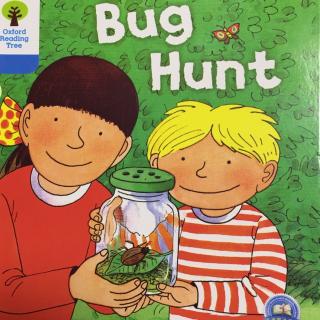 bug hunt