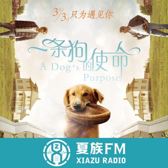 一条狗的使命