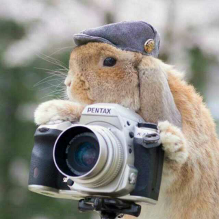 【人生哲理小故事】在线收听_C·S·H_荔枝