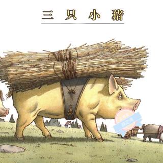 【【绘本故事349】《三只小猪》】在线收听_