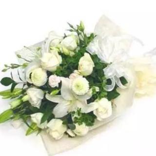 【月夜忆舍弟 第16天】在线收听_小古文诵读_