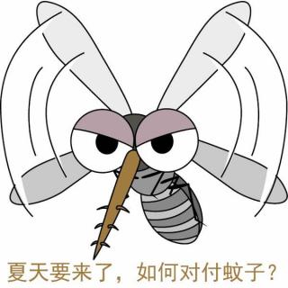 生活相对论-26-夏天要来了,如何对付蚊子?