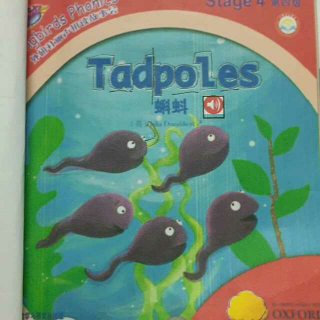 【tadpoles】在线收听_补补哥读绘本_荔枝FM