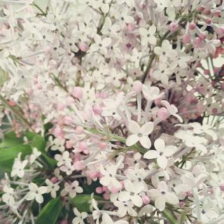 【20170408好汉不吃眼前亏】在线收听_雨季