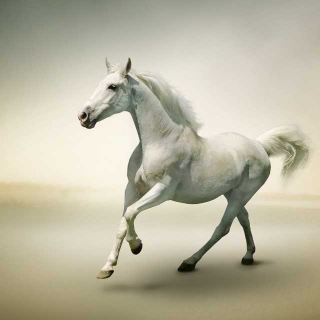 【了不起的英雄人物~张飞~莽撞人】在线收听