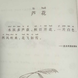 【《小学生小快手100课》第三课古文】v快手收芦花骚小学生的 【《小学生小快手100课》第三课古文】v快手收芦花骚小学生的