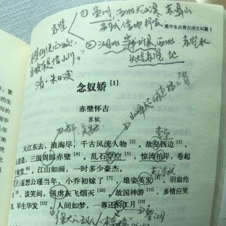 911-苏轼《念奴娇》高中生必背古诗文40篇