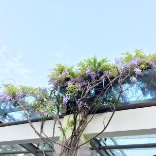 【淡淡的云彩悠悠地游】在线收听_丁子轩宝宝