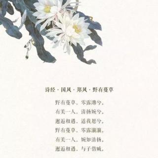 20170316郦波·《诗经·国风·郑风·野有蔓草》