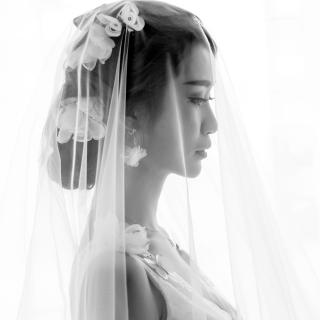 【别再去打扰一个不会回复你消息的人】在线收