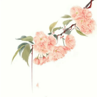 带光芒(1) 2017.4.15】在线收听_佩 Only you_荔