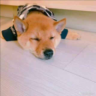 【青春大概-王上】在线收听_9°炽燊_荔枝FM