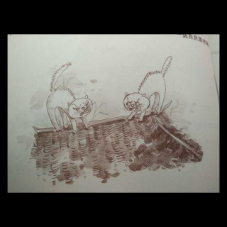 【猫斗】在线收听_家伟的诵读空间_荔枝FM