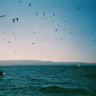 【西蒙的爸爸】在线收听_和W一起好好学习_