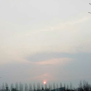 【塘桥夜话】在线收听_托墨赋色_荔枝FM