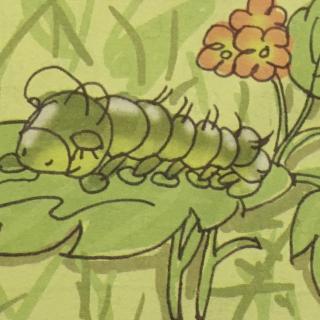 【20170416:22小毛虫】在线收听_小小辣辣椒