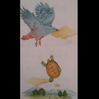 【乌龟与鹰】在线收听_乐乐阅读屋_荔枝FM