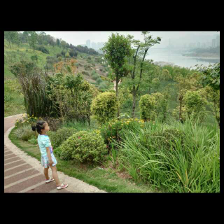 【17-015三只小恐龙的故事】在线收听_文文和