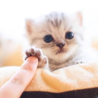 【一封不会不过期的情书】在线收听_嗨!你好嘛