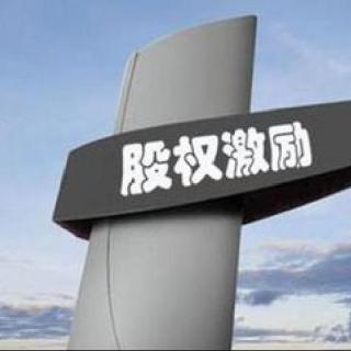 【020、对核心高管激励-在职分红激励法】在线