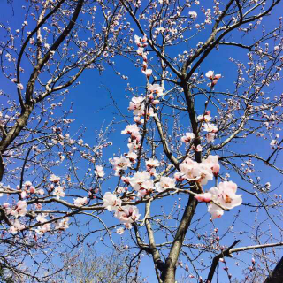 【春娇救志明:别让我用离开的方式 教会你如何