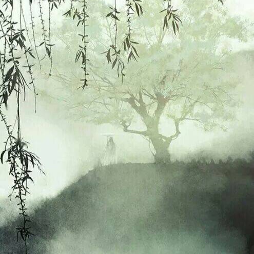 雨霖铃 朗诵 *踏雪寻梅*