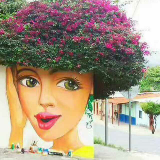 【【30岁前别结婚】作者:陈愉】在线收听_绿树