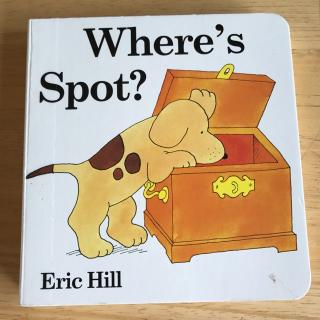 where"s spot?