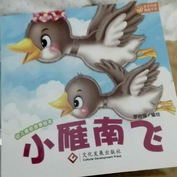 小雁南飞