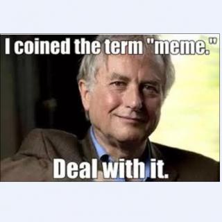what to know: meme 表情包无国界