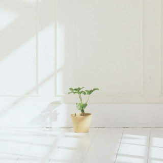 【红尘陌上雪,散落随花开(3)】在线收听_北朵_