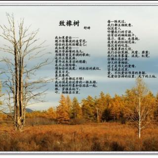 《致橡树》,作者:舒婷,朗诵:梁媛媛