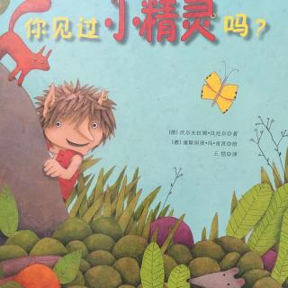 小美讲故事《你见过小精灵吗》讲述者:小美