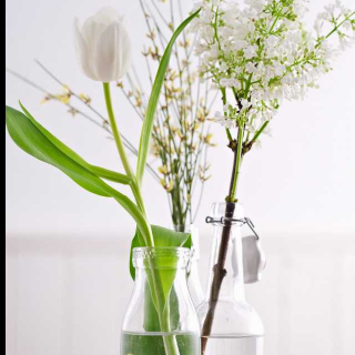 【红尘陌上雪,散落随花开】在线收听_δ恒星_