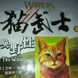 猫武士1呼唤野性第二十章下