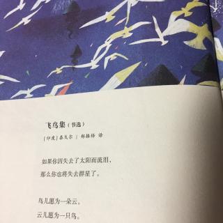 飞鸟集简谱_泰戈尔飞鸟集图片