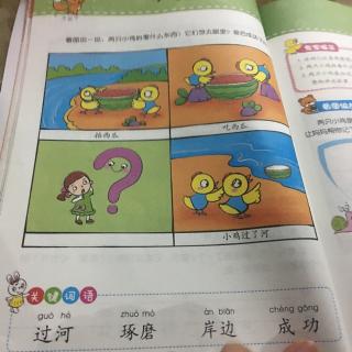 小鸡过河语言表达天天练