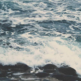 【可与人言无二三】在线收听_其夜无名_荔枝