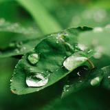 【自然音】雷阵雨